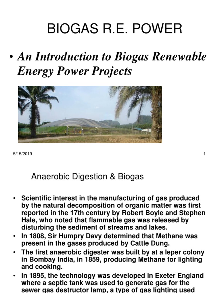 Biogas Renewable Energy Overview | PDF | Anaerobic Digestion | Biogas