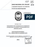 Detección de Los Flavonoides de La Cáscara de PDF