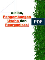 Risiko Usaha dan Reorganisasi