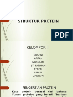 4 Tingkatan Struktur Protein