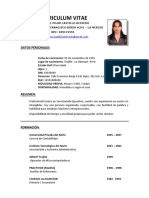 CV Ejecutiva ventas experiencia VisaNet