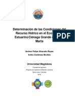 DETERMINACION DE LAS CONDICIONES DEL RECURSO HIDRICO.docx