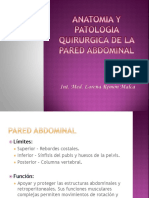 Anatomia y Patologia Quirurgica de La Pared Abdominal-lore