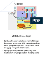 Metabolisme Lipid