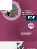 Paneles Solares en La Agricultura