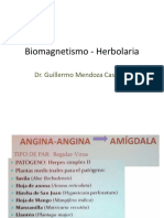 176349738-Biomagnetismo-Herbolaria.pptx