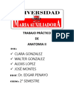 Trabajo Práctico de Walter