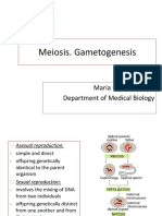 Lecture 13 Meiosis. Gametogenesis