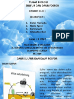 Daur Sulfur Dan Fosfor