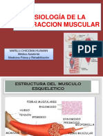 Fisiología muscular: contracción y tipos