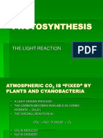 PHOTOSYNTHESIS