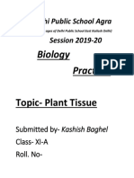 Delhi Public School Agra Session 2019-20: Biology Practical