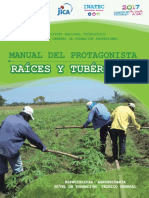 Raices y Tuberculos PDF