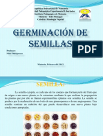 Semilla y Germinacion