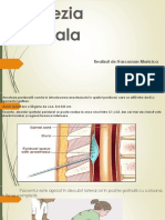 anestezia epidurala2