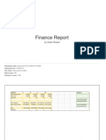 Finance Report PDF