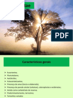 Reino Plantae PDF