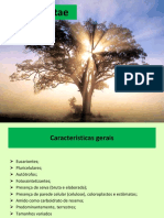 Reino Plantae.pdf