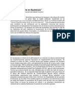 La Deforestación en Guatemala.docx