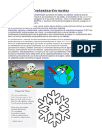 Contaminación Marina