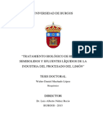 Machado López PDF