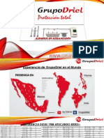 Presentacion GrupoDriel PDF