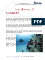 MSB-Compañeros.pdf