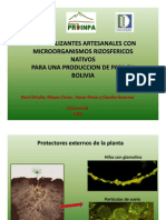 Aislameinto y Multiplicacion de Micorrizas, Su Interaccion Con Bacterias Beneficas y Su Multiplicacion Artesanal (Presentación PowerPoint)
