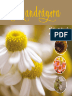 Revista Mandrágora PaulaOcampo PDF