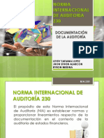 Norma Internacional de Auditoría 230