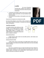 Articulacion_de_la_rodilla2.pdf
