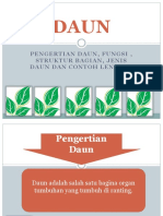 DAUN