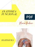Taller Anatomia Presentacion PDF
