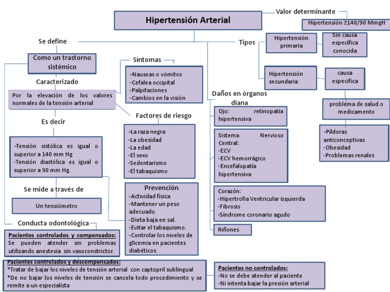 Mapa Conceptual Hipertension y Diabetes | PDF | Hipertensión | Medicina  CLINICA