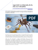 Informe Especial Contratación en Colombia