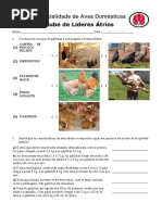 Prova Da Especialidade de Aves Domesticas