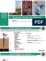 flujo-multifasico-examen