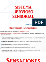 Sistema nervioso sensorial.pdf