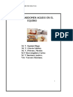 sindrome_abdomen_agudo_en_el_equino.pdf