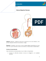 4°-Sistema-Digestivo-Humano.pdf