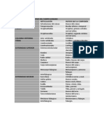 PRINCIPALES ARTICULACIONES DEL CUERPO HUMANO.docx