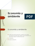 Economía y Ambiente