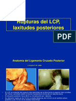 06- 2- Ligamento cruzado posterior.ppt