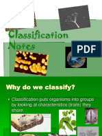 Classification Taxonomy Powerpoint