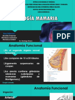 Patología Mamaria