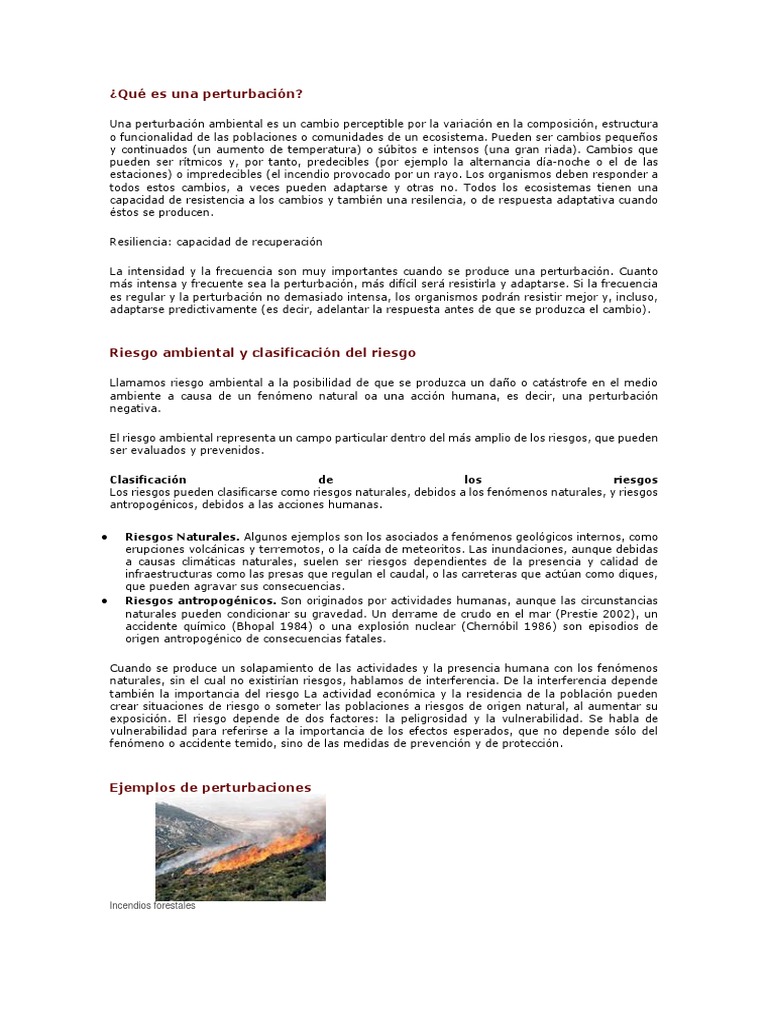 Qué Es Una Perturbación PDF Precipitación Fuego fatuo
