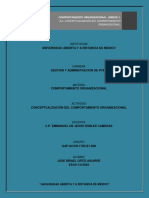 Comportamiento organizacional y áreas funcionales