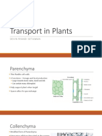 Transport in Plants: Devin Ryandi Setiawan