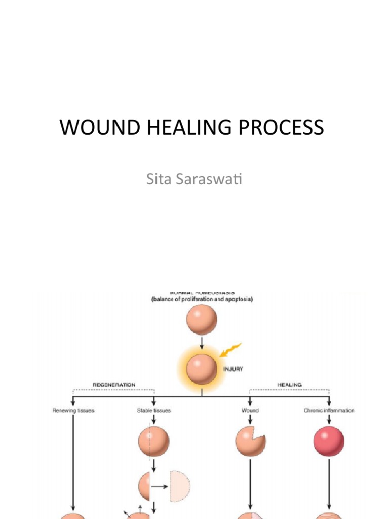 Wound Heal Proc Blok Fix | PDF | Scar | Wound Healing
