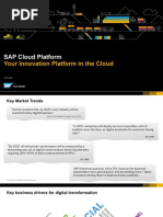 SAP Cloud Platform PDF